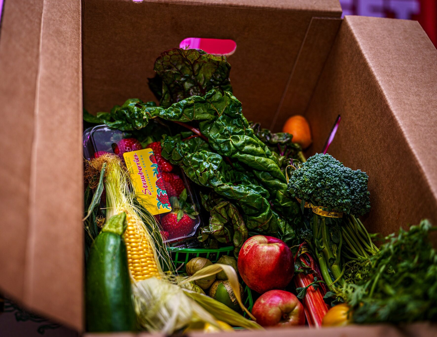 Farm Boxes