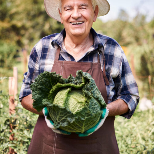12425
